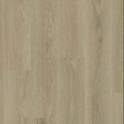 Modern Solution in Namur