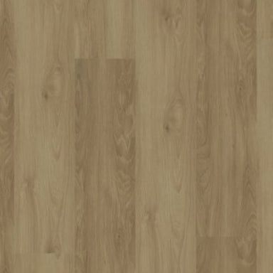 Modern Solution in Ostend