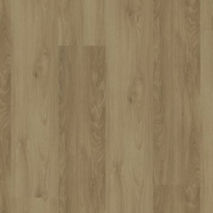 Modern Solution in Ostend