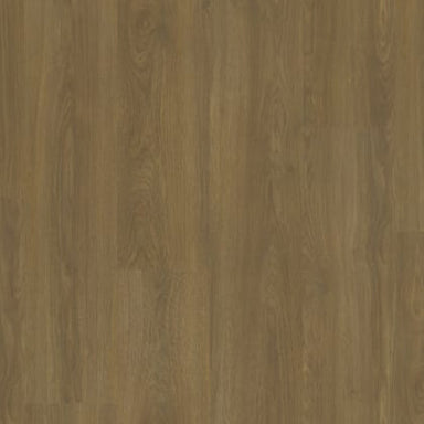 Modern Solution in Evere