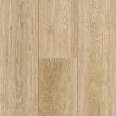 Modern Choice in Allegheny