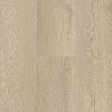 Modern Choice in Sierra