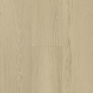 Modern Choice in Pike