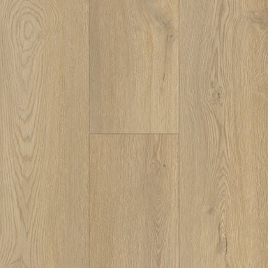 Modern Choice in Angeles