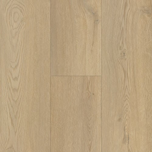 Modern Choice in Angeles