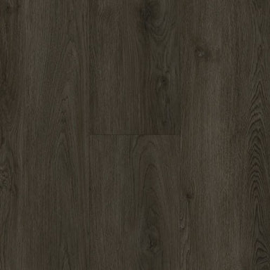 Modern Choice in Carson