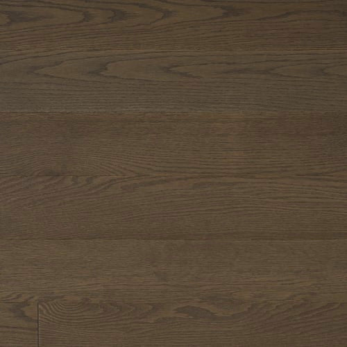 Alta Moda Engineered Red Oak Excel 1/2" in Pashmina 4"