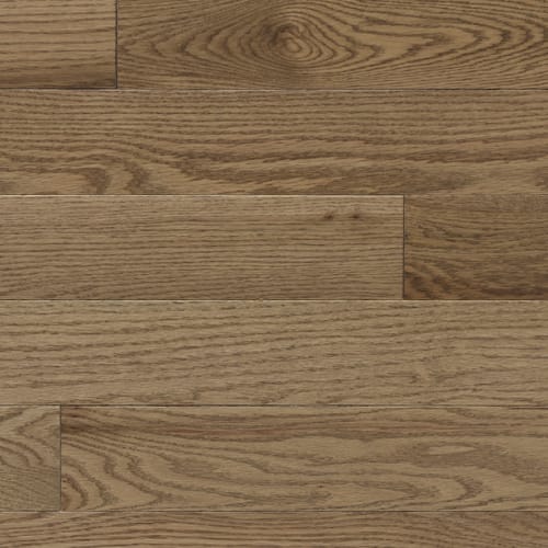 Signature Solid Red Oak Excel 3/4" in Sable Um 2.25"