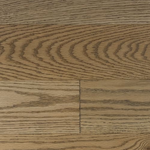 Alta Moda Solid Red Oak Excel 3/4" in Velour 3.25"