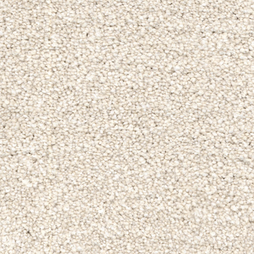 Beach Sand