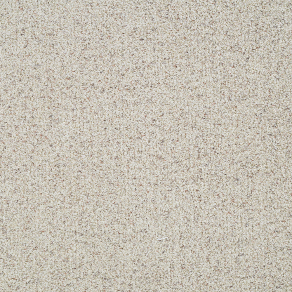 Masland Carpet St. Augustine – Premium Carpets for Timeless Elegance