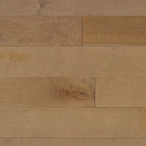 Signature Solid Birch Excel 3/4" in Biscotti 3.25"