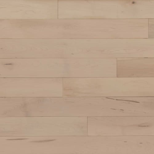 Alta Moda Solid Maple Prestige 3.25 in Chiffon 3.25"