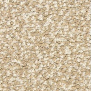Gusto 6124 in 75008 Thunder   Carpet Flooring | Dixie Home