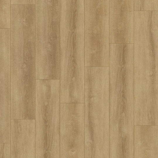 Big City In City Vibe