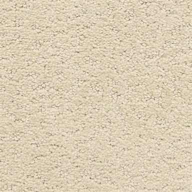 Prize Winner D006 in 13112 Windfall   Carpet Flooring | Dixie Home