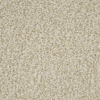 New Age D031 in 13112 Windfall   Carpet Flooring | Dixie Home