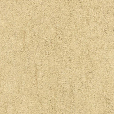 Desert Vista 451DV in 748DV Carpet Flooring | Fabrica