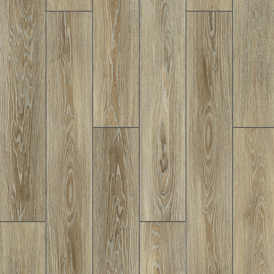 Pride in Fairbanks FN-17