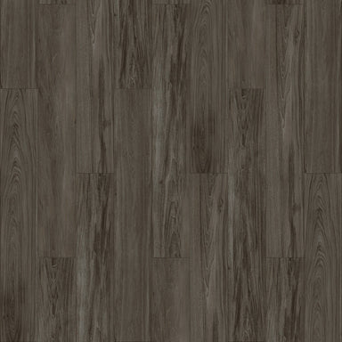 Pride in Cape Cod FN-32