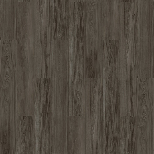 Pride in Cape Cod FN-32