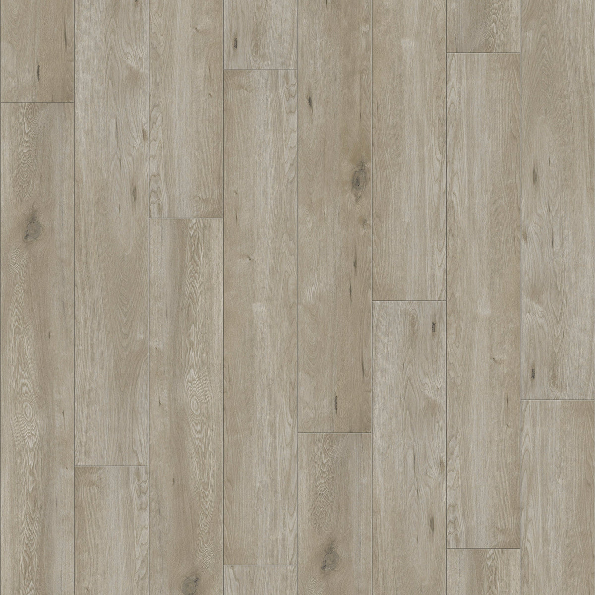 Acrylx Gencore Luxury Vinyl Flooring in Jane | Raskin