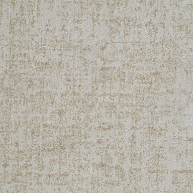 Hollywood Nights 732HN in 747HN Carpet Flooring | Fabrica