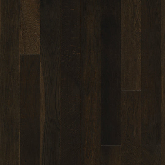 Manor Collection in Dusk