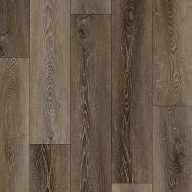 Suwannee River in Teton