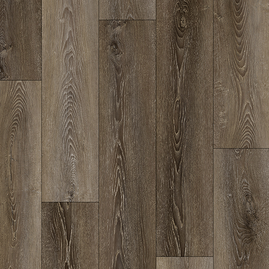 Suwannee River in Teton