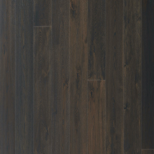 Montesilvano in Rovigo