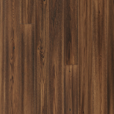 Montesilvano in Catania