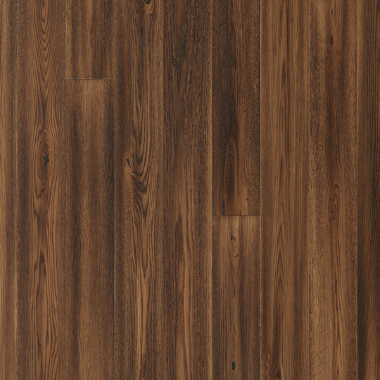 Montesilvano in Catania